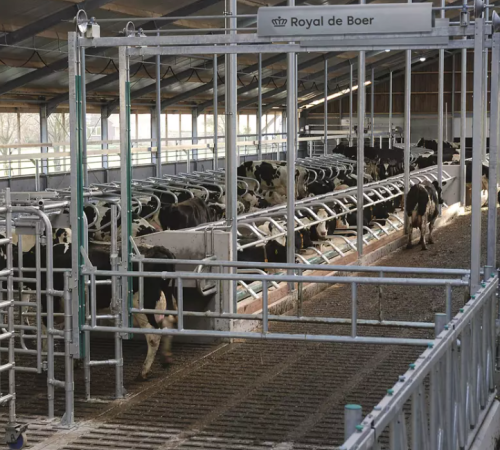 Nieuwe, overjarige hefhekken De Boer/Gea 