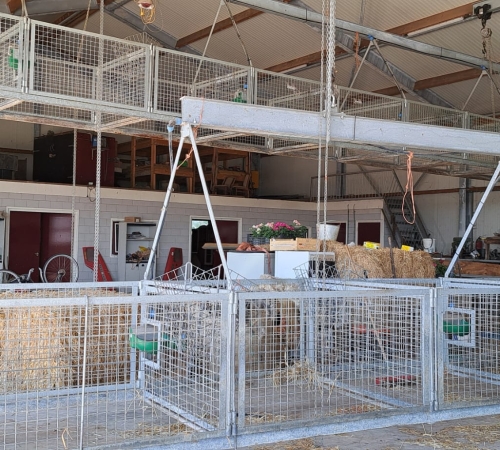 Gebruikte kraamhokken voor schapen 