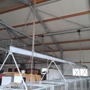 Schapen-kraamhokken (1)