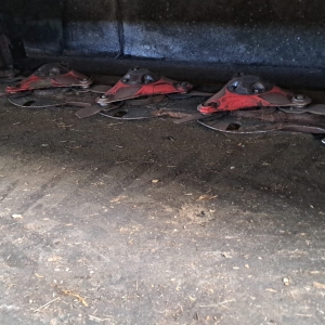 Vicon-schijvenmaaier (3)