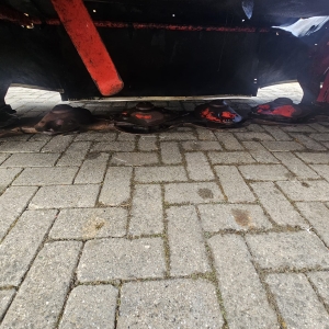 Lely-240 (1)